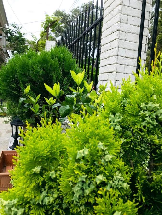 Gurya Otel Kobuleti Dış mekan fotoğraf